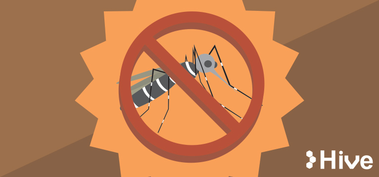 dengue