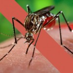 Dengue, Zika e Chikungunya